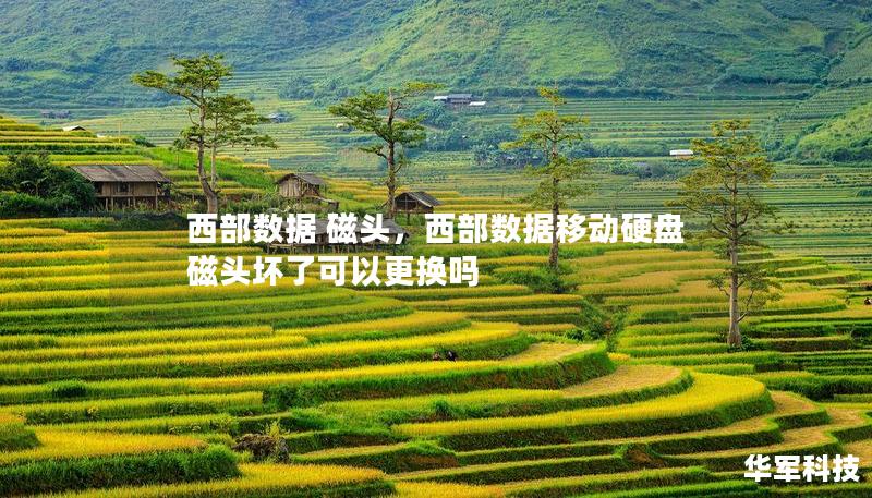 西部數(shù)據(jù) 磁頭，西部數(shù)據(jù)移動硬盤磁頭壞了可以更換嗎