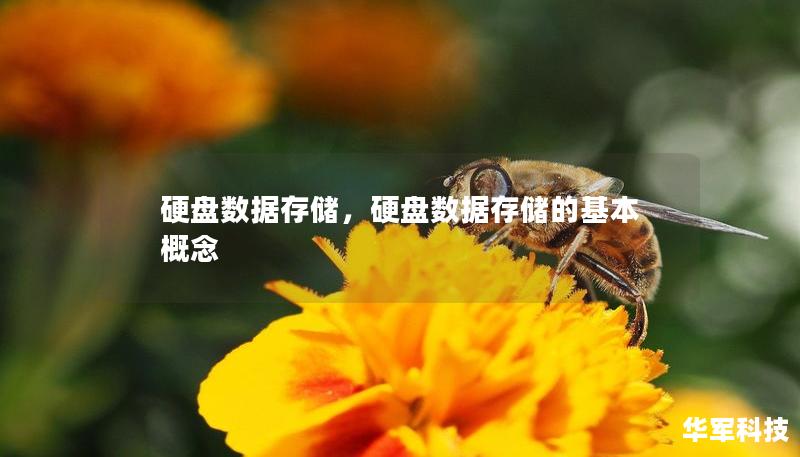 硬盤數(shù)據(jù)存儲，硬盤數(shù)據(jù)存儲的基本概念