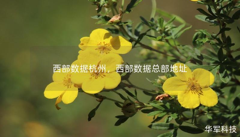 西部數(shù)據(jù)杭州，西部數(shù)據(jù)總部地址