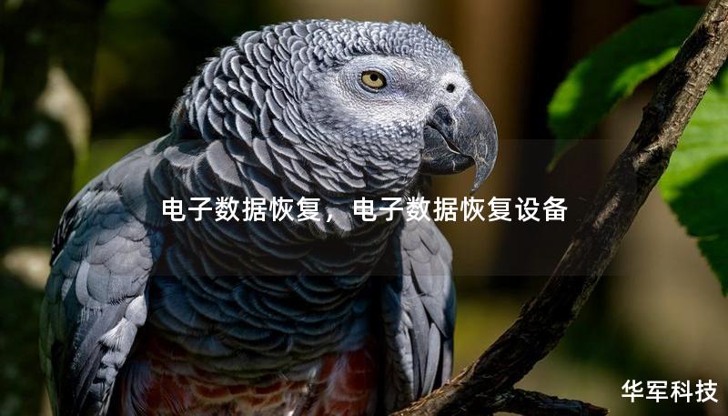 電子數(shù)據(jù)恢復(fù)，電子數(shù)據(jù)恢復(fù)設(shè)備