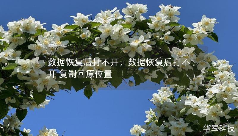 數(shù)據(jù)恢復(fù)后打不開，數(shù)據(jù)恢復(fù)后打不開 復(fù)制回原位置