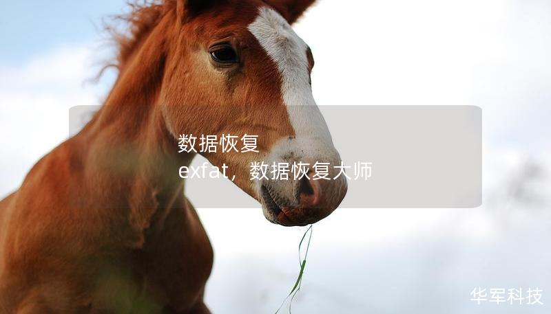 數(shù)據(jù)恢復(fù) exfat，數(shù)據(jù)恢復(fù)大師