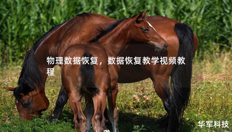 物理數(shù)據(jù)恢復，數(shù)據(jù)恢復教學視頻教程