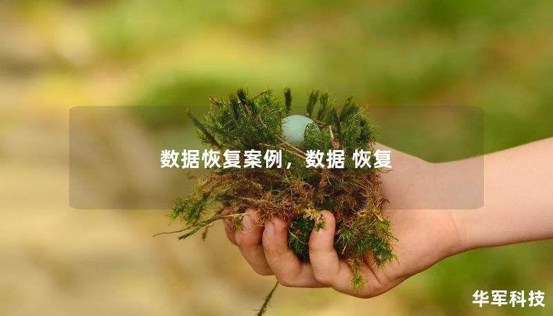 數(shù)據(jù)恢復(fù)案例，數(shù)據(jù) 恢復(fù)