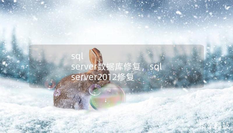 sql server數(shù)據(jù)庫(kù)修復(fù)，sql server2012修復(fù)