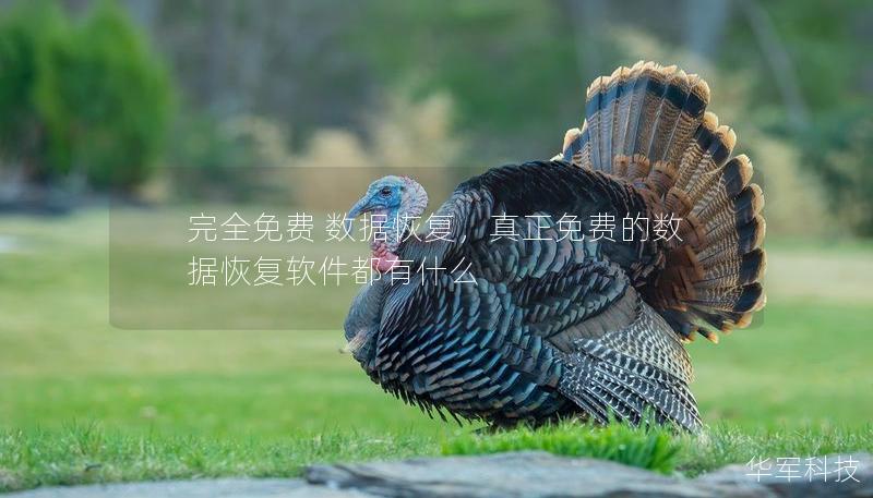 完全免費 數(shù)據(jù)恢復(fù)，真正免費的數(shù)據(jù)恢復(fù)軟件都有什么