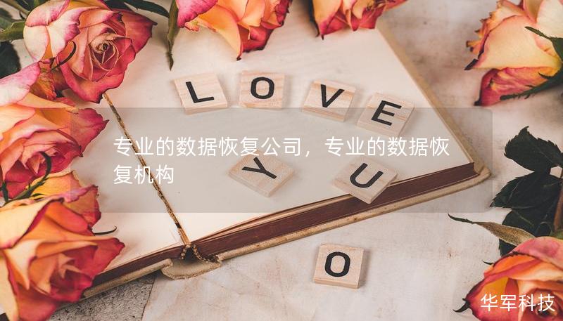 專業(yè)的數(shù)據(jù)恢復(fù)公司，專業(yè)的數(shù)據(jù)恢復(fù)機(jī)構(gòu)