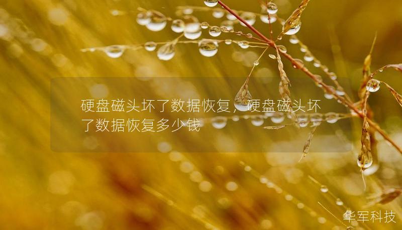 硬盤(pán)磁頭壞了數(shù)據(jù)恢復(fù)，硬盤(pán)磁頭壞了數(shù)據(jù)恢復(fù)多少錢(qián)