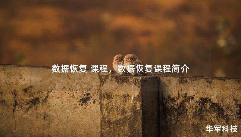數(shù)據(jù)恢復(fù) 課程，數(shù)據(jù)恢復(fù)課程簡介