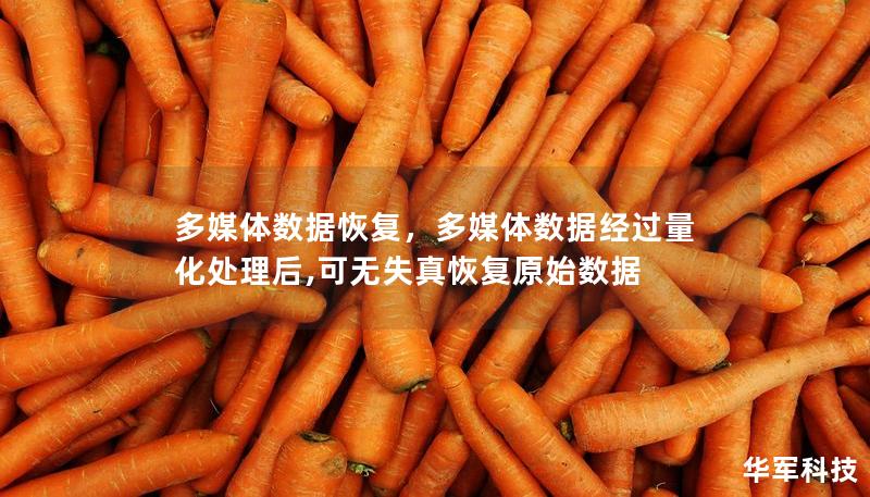多媒體數(shù)據(jù)恢復(fù)，多媒體數(shù)據(jù)經(jīng)過量化處理后,可無失真恢復(fù)原始數(shù)據(jù)
