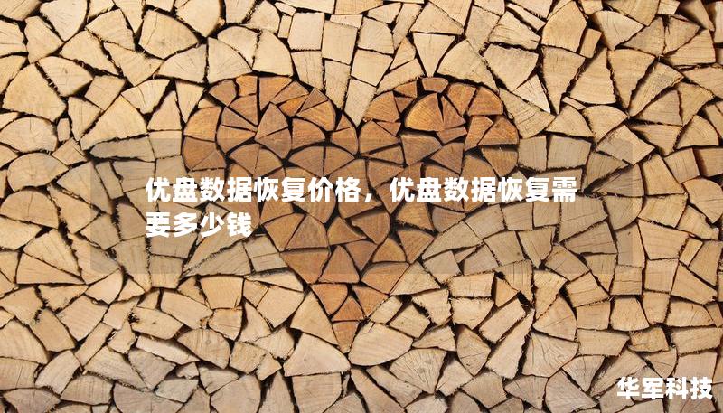 優(yōu)盤數(shù)據(jù)恢復(fù)價(jià)格，優(yōu)盤數(shù)據(jù)恢復(fù)需要多少錢
