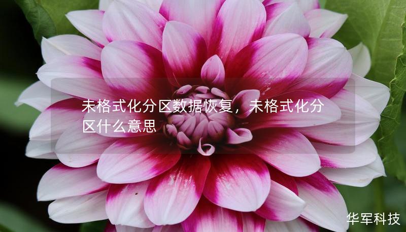 未格式化分區(qū)數(shù)據(jù)恢復(fù)，未格式化分區(qū)什么意思
