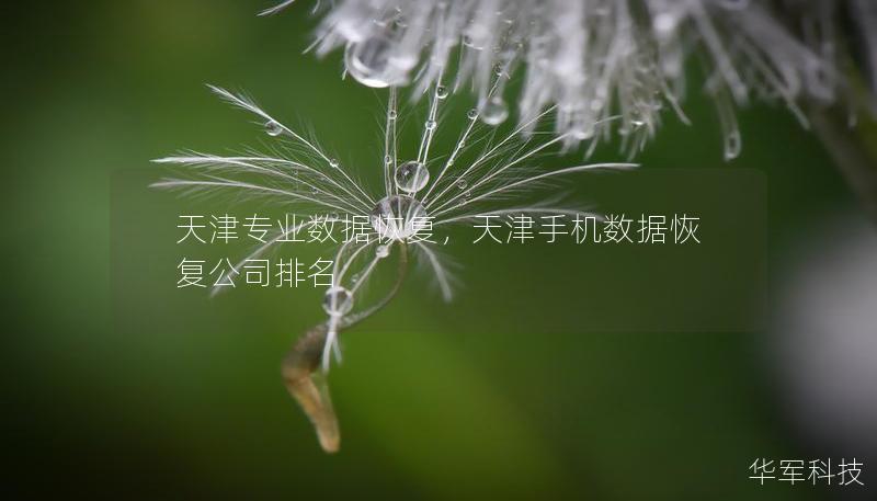 天津?qū)I(yè)數(shù)據(jù)恢復(fù)，天津手機數(shù)據(jù)恢復(fù)公司排名