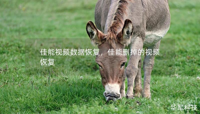 佳能視頻數(shù)據(jù)恢復(fù)，佳能刪掉的視頻恢復(fù)
