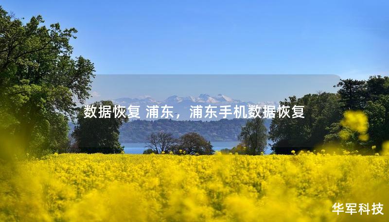 數(shù)據(jù)恢復(fù) 浦東，浦東手機數(shù)據(jù)恢復(fù)