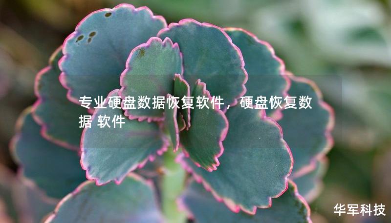專(zhuān)業(yè)硬盤(pán)數(shù)據(jù)恢復(fù)軟件，硬盤(pán)恢復(fù)數(shù)據(jù) 軟件