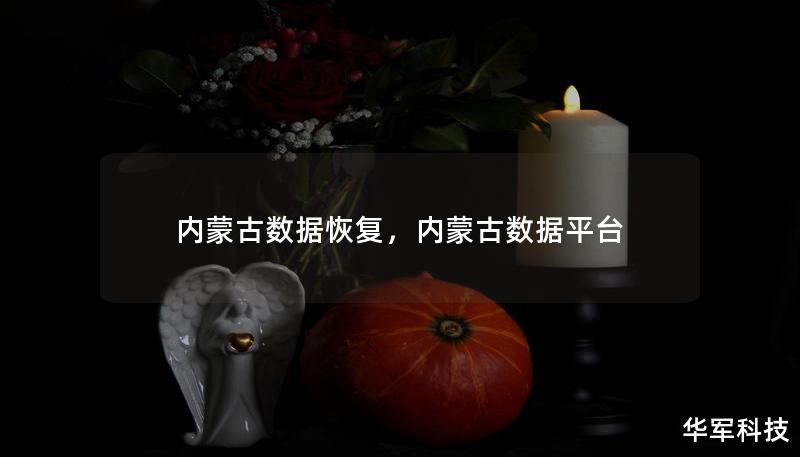 內(nèi)蒙古數(shù)據(jù)恢復(fù)，內(nèi)蒙古數(shù)據(jù)平臺