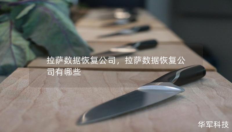 拉薩數(shù)據(jù)恢復(fù)公司，拉薩數(shù)據(jù)恢復(fù)公司有哪些
