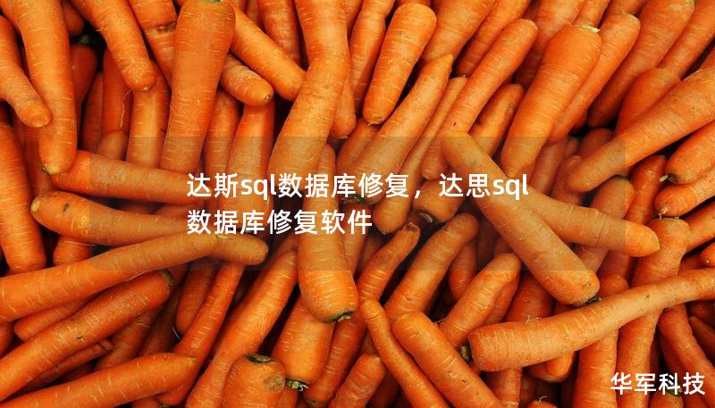 達(dá)斯sql數(shù)據(jù)庫(kù)修復(fù)，達(dá)思sql數(shù)據(jù)庫(kù)修復(fù)軟件