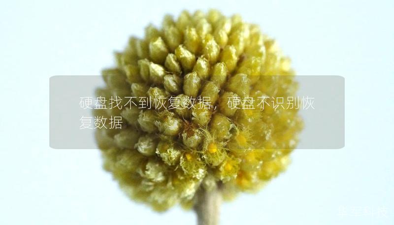 硬盤找不到恢復(fù)數(shù)據(jù)，硬盤不識(shí)別恢復(fù)數(shù)據(jù)