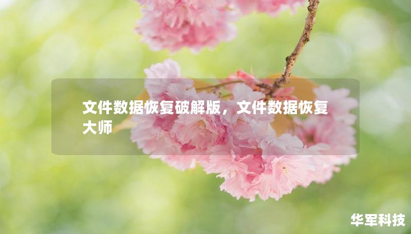 文件數(shù)據(jù)恢復(fù)破解版，文件數(shù)據(jù)恢復(fù)大師