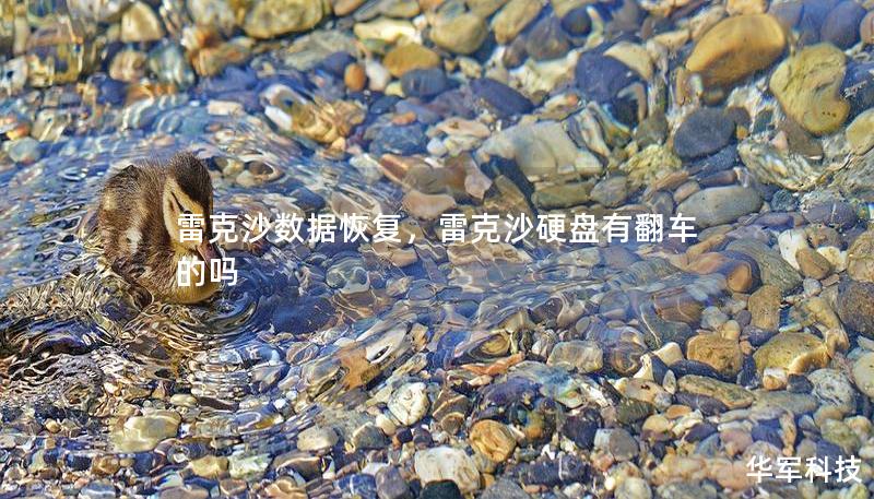 雷克沙數(shù)據(jù)恢復，雷克沙硬盤有翻車的嗎