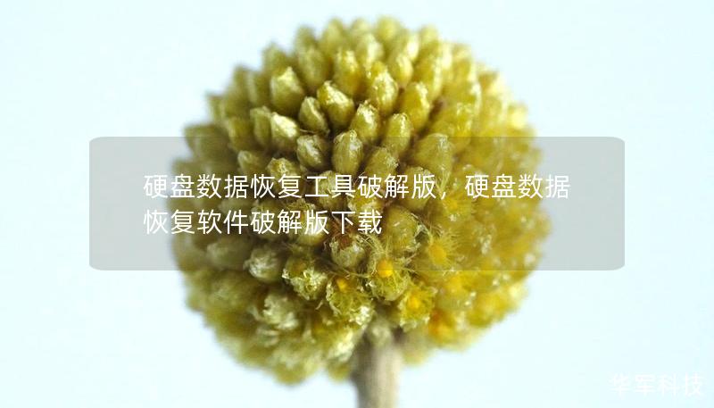 硬盤數(shù)據(jù)恢復(fù)工具破解版，硬盤數(shù)據(jù)恢復(fù)軟件破解版下載