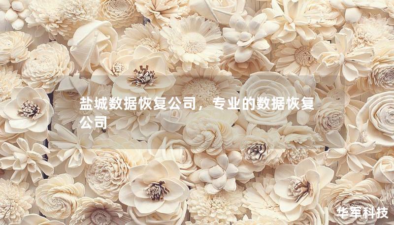 鹽城數(shù)據(jù)恢復(fù)公司，專業(yè)的數(shù)據(jù)恢復(fù)公司