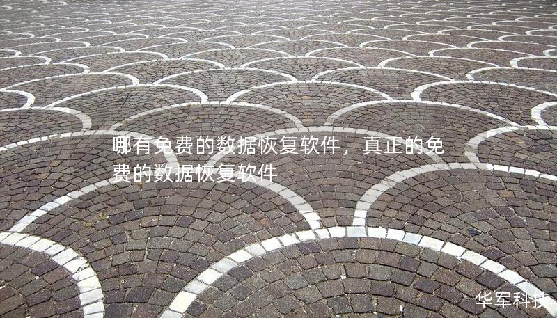 哪有免費(fèi)的數(shù)據(jù)恢復(fù)軟件，真正的免費(fèi)的數(shù)據(jù)恢復(fù)軟件