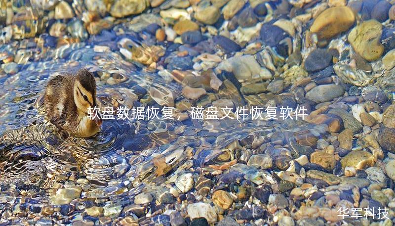 軟盤數(shù)據(jù)恢復，磁盤文件恢復軟件