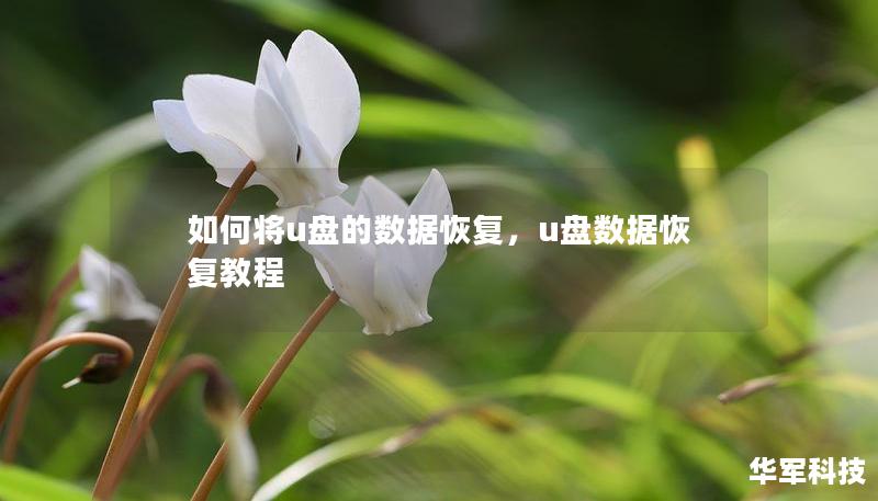 如何將u盤的數(shù)據(jù)恢復(fù)，u盤數(shù)據(jù)恢復(fù)教程