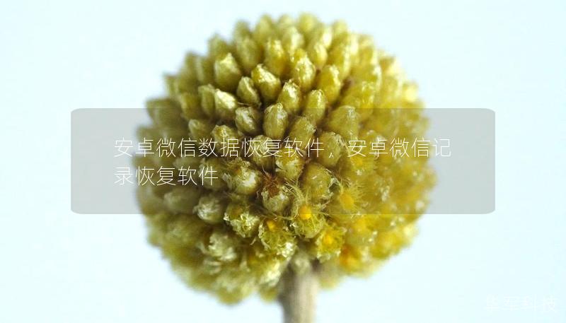 安卓微信數(shù)據(jù)恢復(fù)軟件，安卓微信記錄恢復(fù)軟件