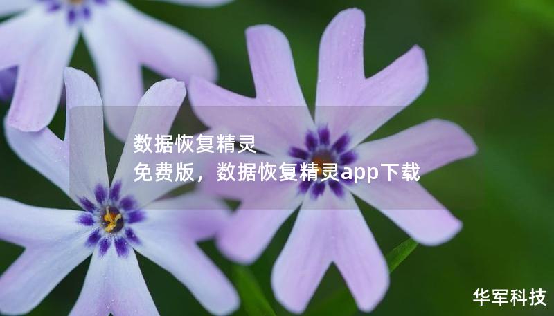 數(shù)據(jù)恢復(fù)精靈 免費(fèi)版，數(shù)據(jù)恢復(fù)精靈app下載