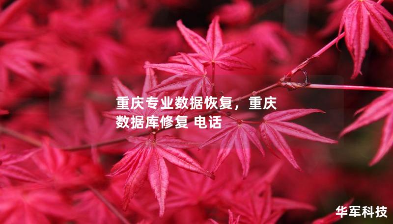 重慶專(zhuān)業(yè)數(shù)據(jù)恢復(fù)，重慶 數(shù)據(jù)庫(kù)修復(fù) 電話(huà)