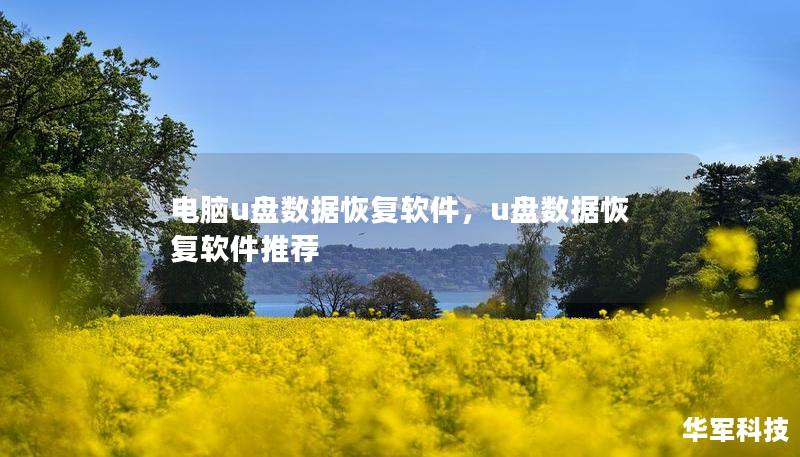 電腦u盤數(shù)據(jù)恢復(fù)軟件，u盤數(shù)據(jù)恢復(fù)軟件推薦