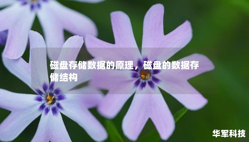 磁盤存儲(chǔ)數(shù)據(jù)的原理，磁盤的數(shù)據(jù)存儲(chǔ)結(jié)構(gòu)