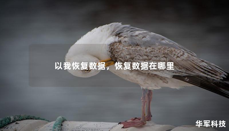 以我恢復數(shù)據(jù)，恢復數(shù)據(jù)在哪里