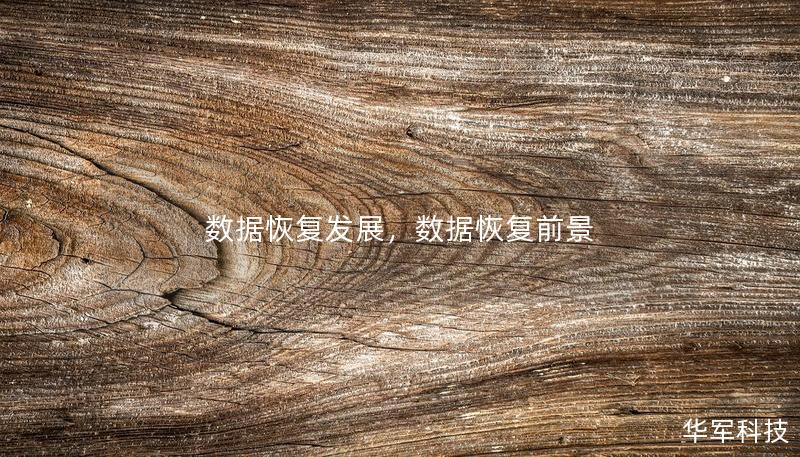 數(shù)據(jù)恢復(fù)發(fā)展，數(shù)據(jù)恢復(fù)前景