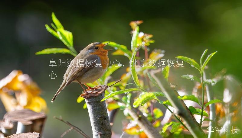 阜陽數(shù)據(jù)恢復中心，北京數(shù)據(jù)恢復中心