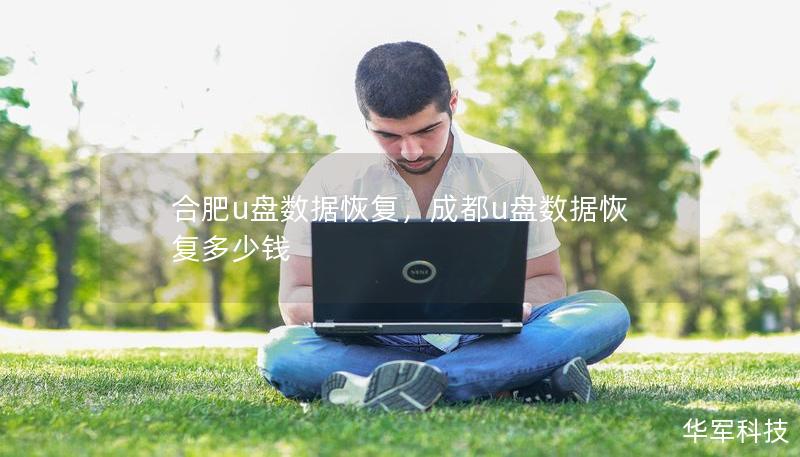 合肥u盤數(shù)據(jù)恢復(fù)，成都u盤數(shù)據(jù)恢復(fù)多少錢