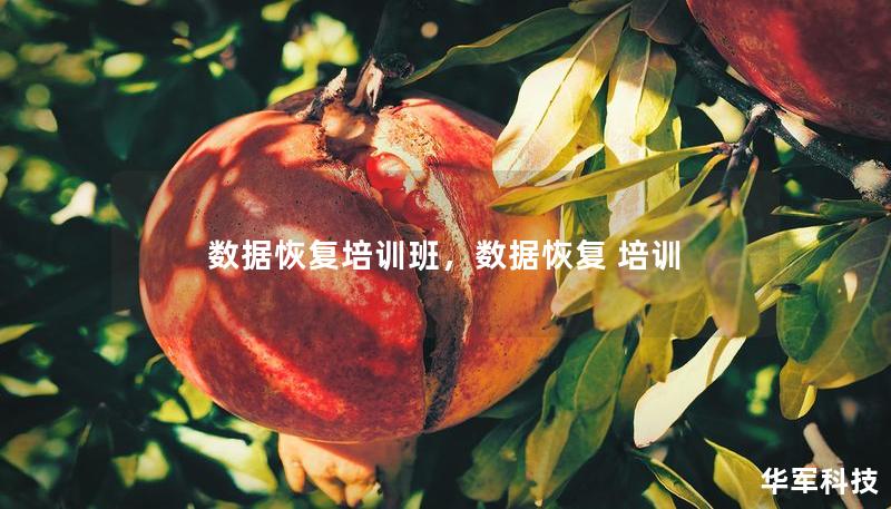 數(shù)據(jù)恢復(fù)培訓(xùn)班，數(shù)據(jù)恢復(fù) 培訓(xùn)
