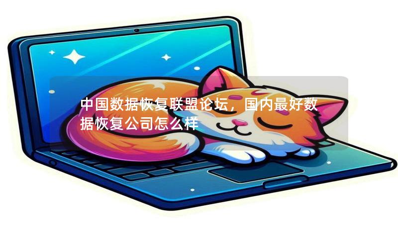 中國數(shù)據(jù)恢復聯(lián)盟論壇，國內(nèi)最好數(shù)據(jù)恢復公司怎么樣