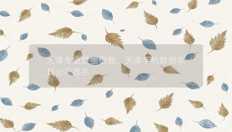 天津?qū)I(yè)數(shù)據(jù)恢復(fù)，天津手機數(shù)據(jù)恢復(fù)公司排名