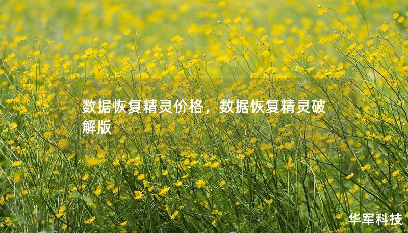 數(shù)據(jù)恢復(fù)精靈價(jià)格，數(shù)據(jù)恢復(fù)精靈破解版