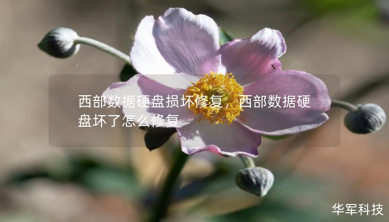 西部數(shù)據(jù)硬盤損壞修復(fù)，西部數(shù)據(jù)硬盤壞了怎么修復(fù)