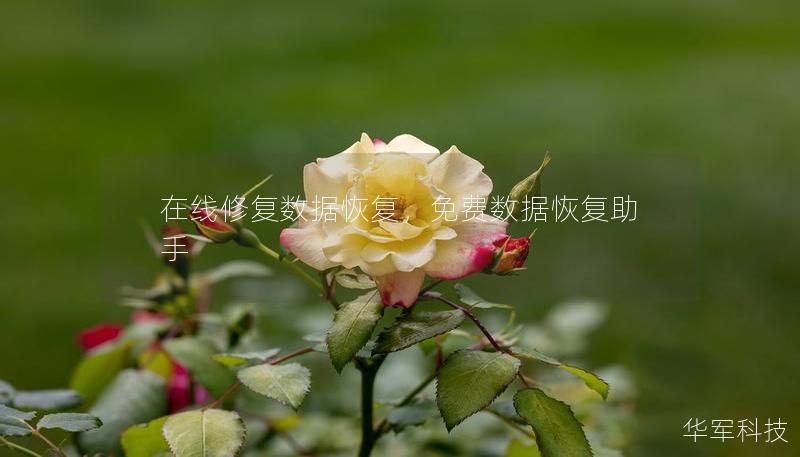 在線修復(fù)數(shù)據(jù)恢復(fù)，免費(fèi)數(shù)據(jù)恢復(fù)助手