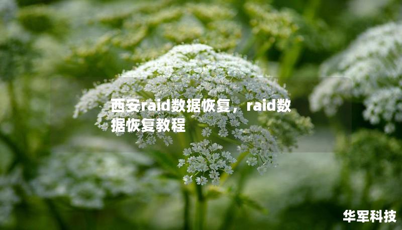 西安raid數(shù)據(jù)恢復(fù)，raid數(shù)據(jù)恢復(fù)教程