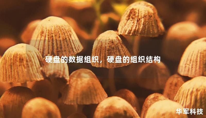 硬盤的數(shù)據(jù)組織，硬盤的組織結(jié)構(gòu)
