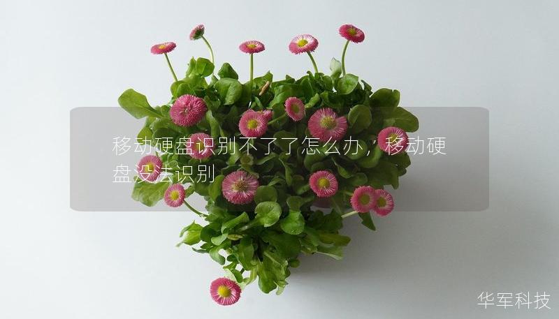 移動硬盤識別不了了怎么辦，移動硬盤沒法識別