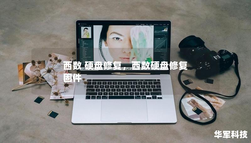 西數(shù) 硬盤修復(fù)，西數(shù)硬盤修復(fù) 固件